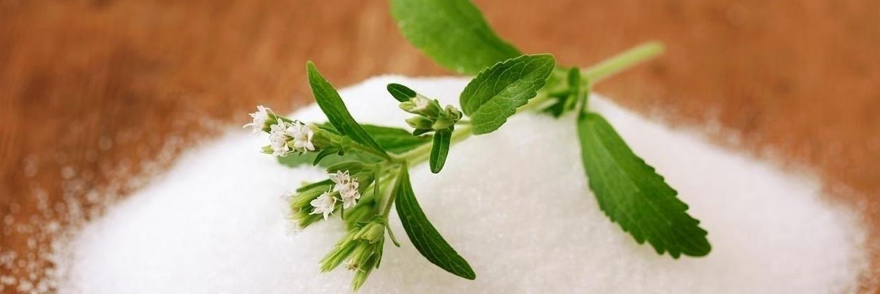 Stevia Extract